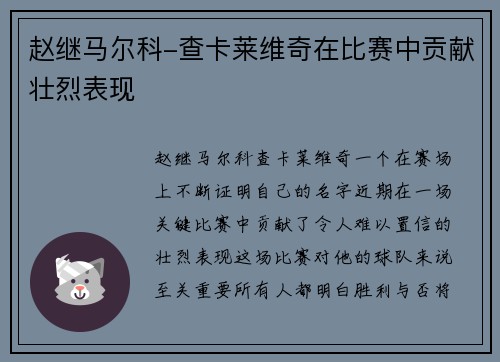 赵继马尔科-查卡莱维奇在比赛中贡献壮烈表现
