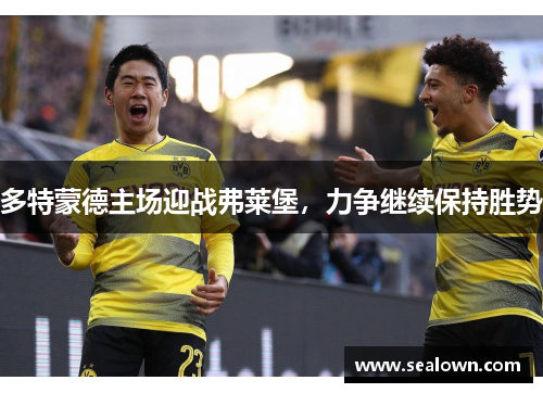 多特蒙德主场迎战弗莱堡，力争继续保持胜势