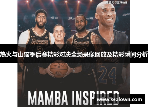 热火与山猫季后赛精彩对决全场录像回放及精彩瞬间分析