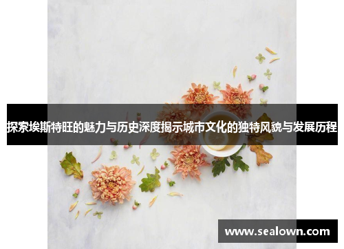 探索埃斯特旺的魅力与历史深度揭示城市文化的独特风貌与发展历程